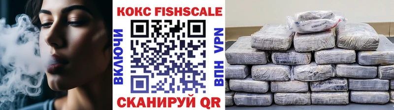 Кокаин Fish Scale  Купить  Вилюйск 