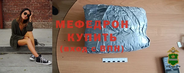индика Инта
