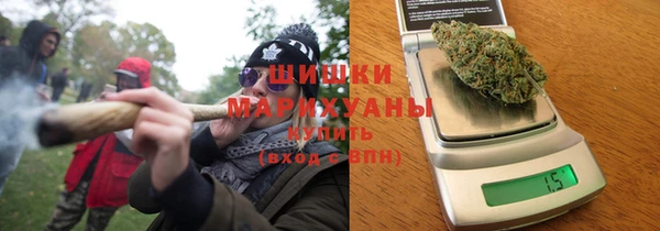 индика Инта