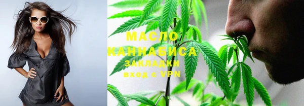 индика Инта