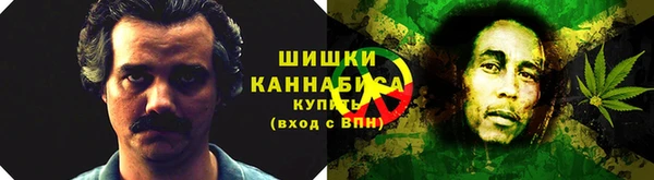 трава Иннополис