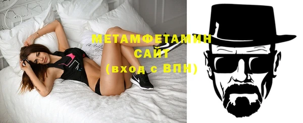 индика Инта