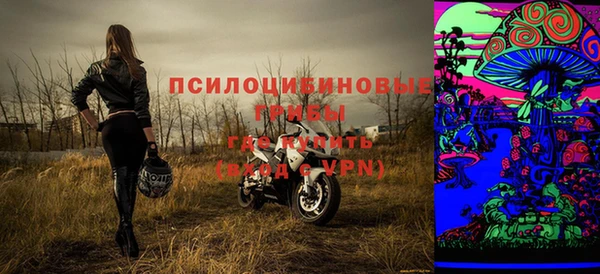прущая мука Инсар