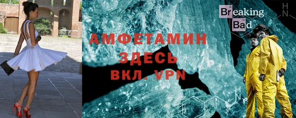 индика Инта