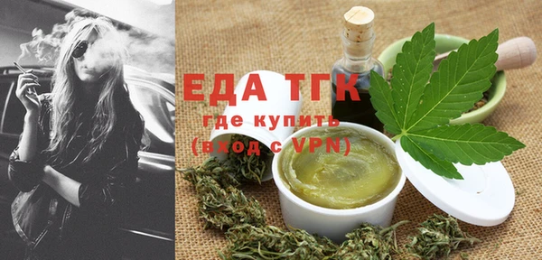 индика Инта