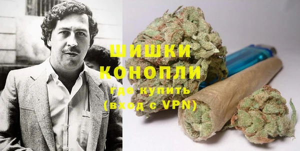 индика Инта
