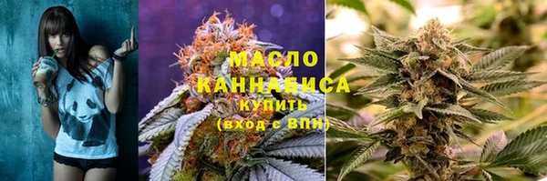 индика Инта