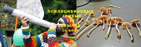 трава Иннополис