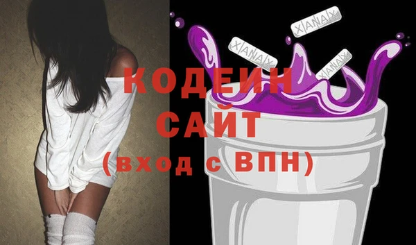 индика Инта
