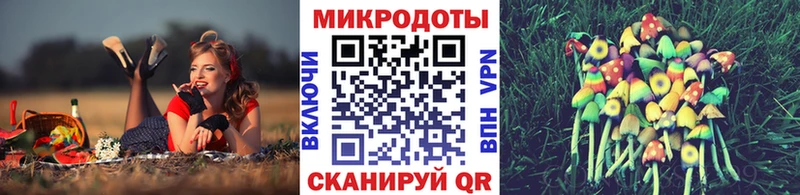 Галлюциногенные грибы Psilocybine cubensis  Купить где  Вилюйск 